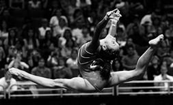 1 41 - Gymnast Shows