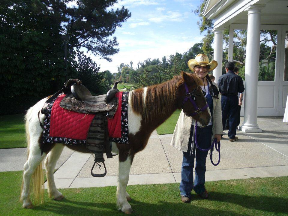 381930 - Pony Rides