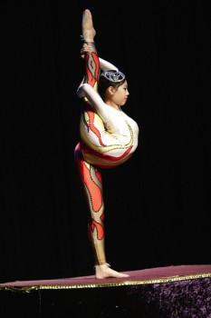 Contortion 233x350 - Acrobatic Shows