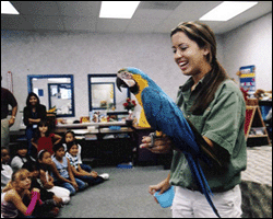 april tango - Wildlife Shows